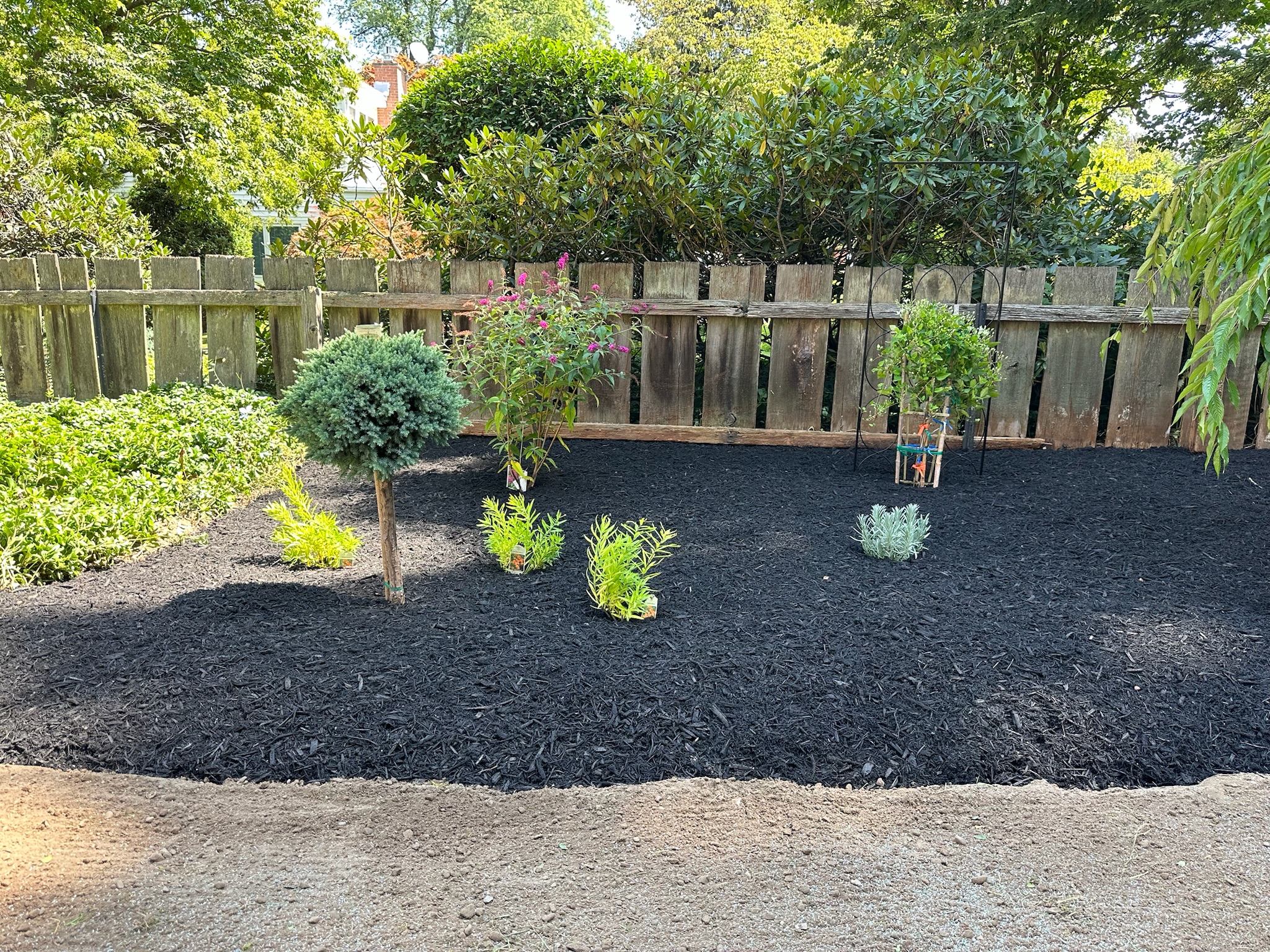 2023 garden upgrade after photo 3